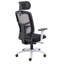 Executive Chair with Headrest