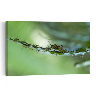 Insect Swarm On Leaf Vibrant Abstract Contemporary Ant Forest Nature Wall Art Print by Abdul Gapur Dayak - Print