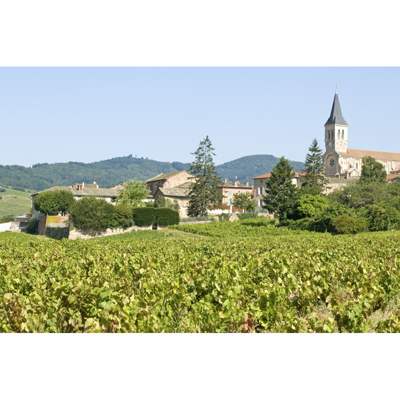 Vineyard, Beaujolais, France by Visuall2 - Wrapped Canvas Print, 20cm H x 30cm W