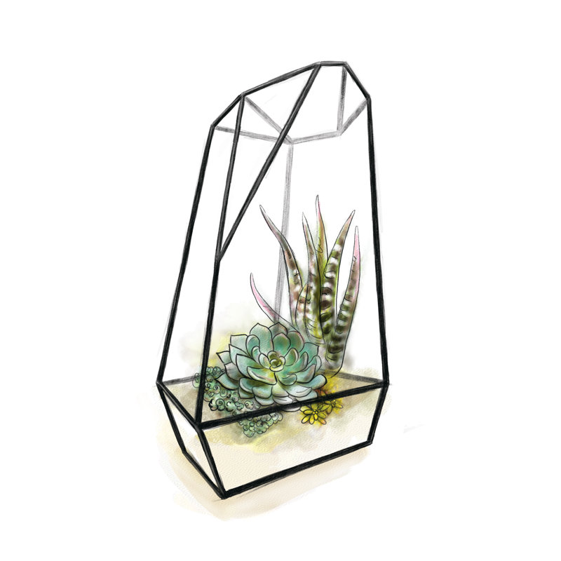 Terrarium - Wrapped Canvas Painting, 91cm H x 91cm W x 3.8cm D