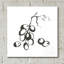 «Grapes I BW» par Chris Paschke-1783545375