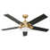 Mercer41 52" Ceiling Fan With Light Remote And APP Control