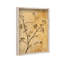 Oliver Gal Nature's Grace Floral & Botanical - Luxury Shadowbox Framed Wall Art-2004561050-2004561052