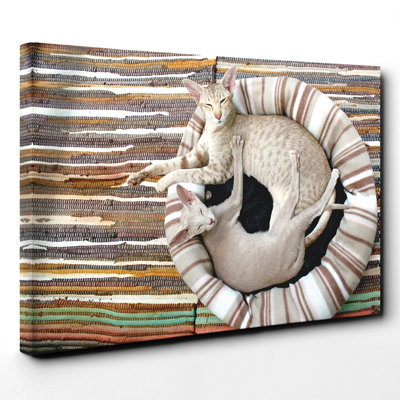 Siamese Cat - Wrapped Canvas Print