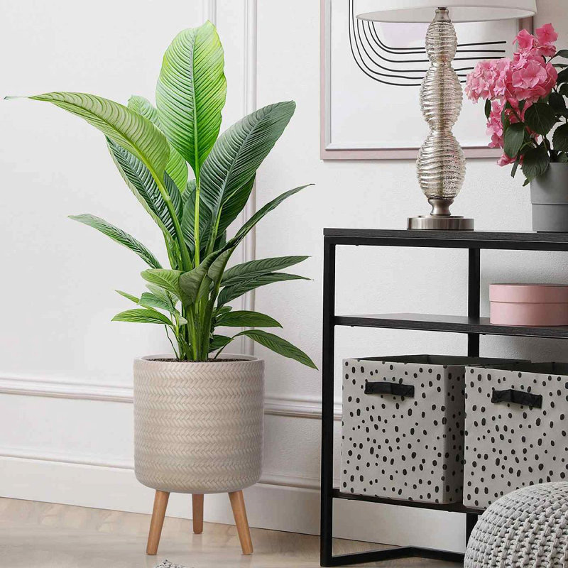 Concrete Effect Cylinder Round Planter on Hardwood Legs, Round Indoor Plant Pot Stand for Indoor Plants, Indoor Flower Pot with Plaited Pattern