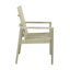 Ashland Patio Dining Armchair with Cushions-765605461-750875538-749763211