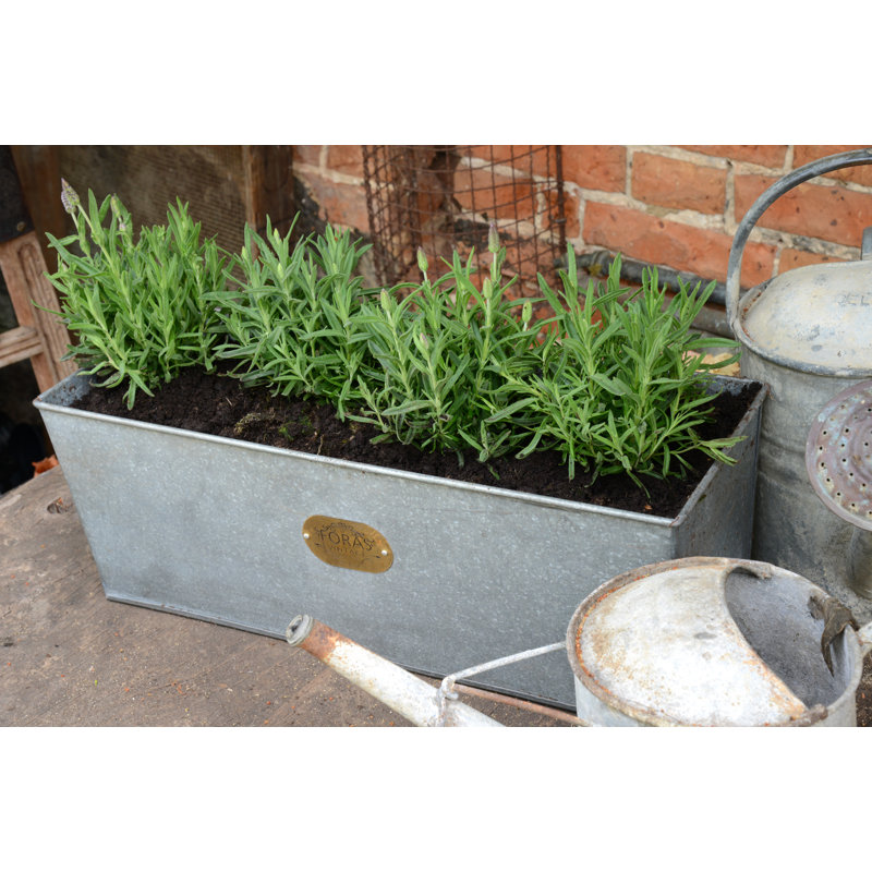 Rambo Handmade Metal Planter Box, 18cm H x 50cm W x 18cm D