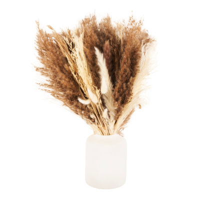 Illinois Pampas Grass Arrangement