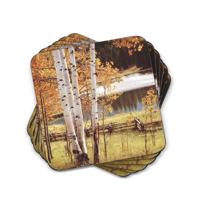 Pimpernel Birch Beauty Coasters 4"X 4"