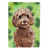 Brown Cockapoo