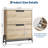 Shoe Cabinet With 2 Flip-Down Drawers – Freestanding Adjustable Narrow Shoe Rack With Metal Legs-1184610931