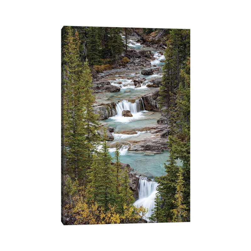 Canada, Alberta. Nigel Creek, parc national Banff. par Judith Zimmerman - reproduction, H 40 po x l 26 po x P 1,5 po