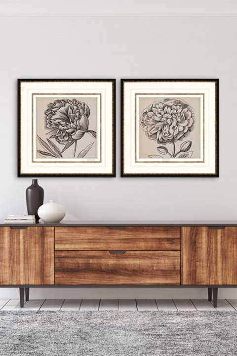 Vision Studio Collection