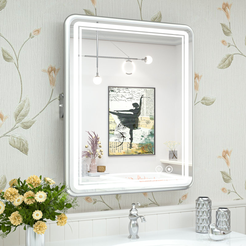 Miroir de salle de bain rectangulaire Demivion, 26 po x 22 po, Argent