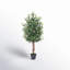 Faux Tree in Pot-1290670852