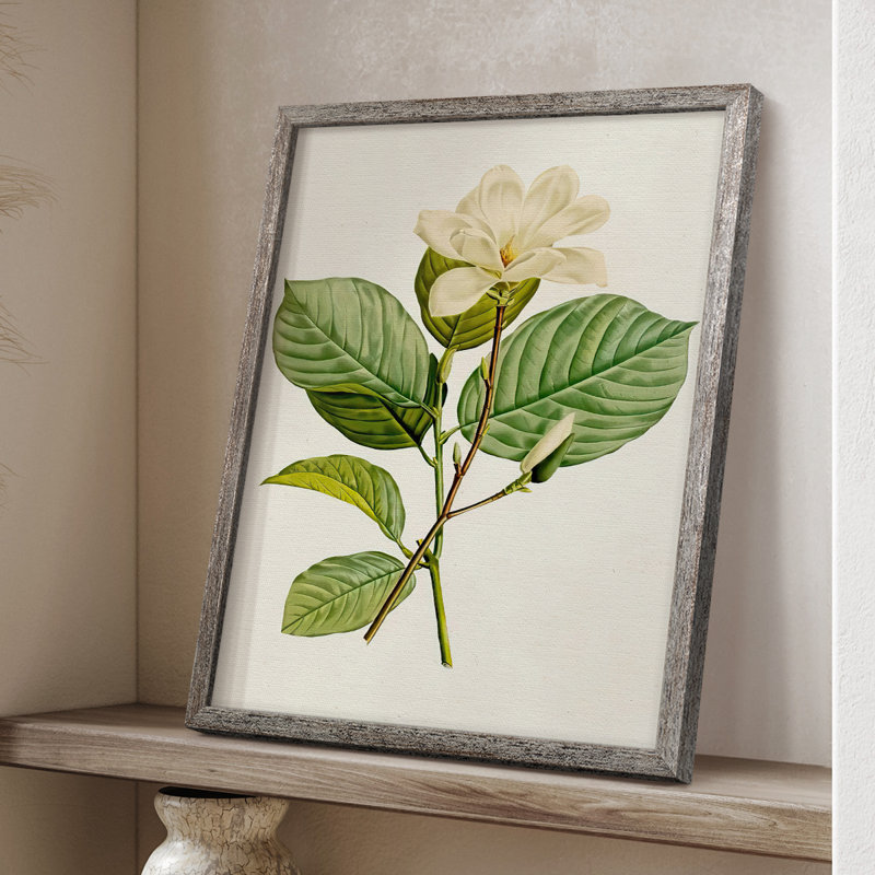 MagnoliaFlowersI Framed Print - Solid Wood, 15" H x 12" W