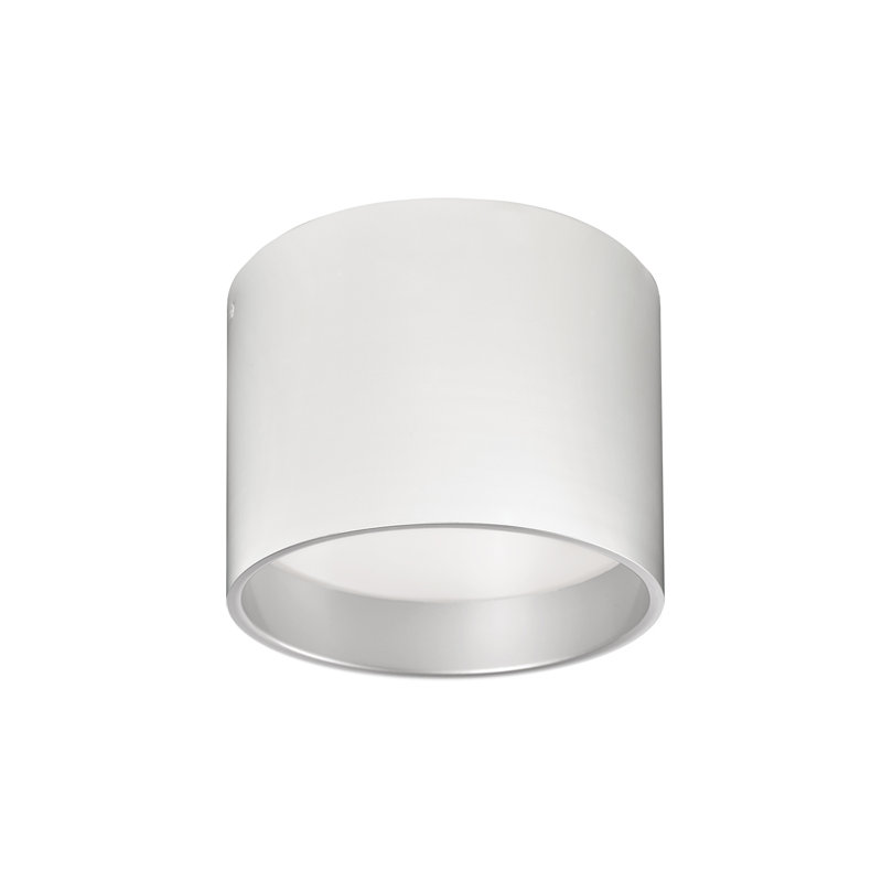 Mousinni 1 - Light LED Flush Mount, White, White