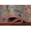 Pink Geometric Oushak Indian Area Rug 8x10