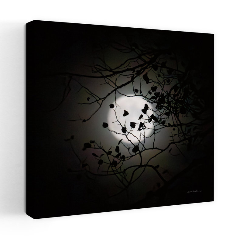Lune bleue contemporaine du Vermont avec art noir et blanc, H 18 po x l 18 po