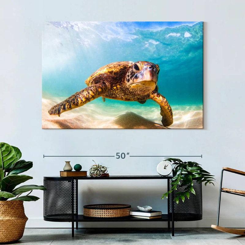 Tortue hawaïenne Crowle, H 34 po x l 51 po
