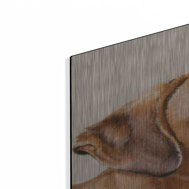 «Boxer» par Janet Pidoux, H 36 po x l 24 po