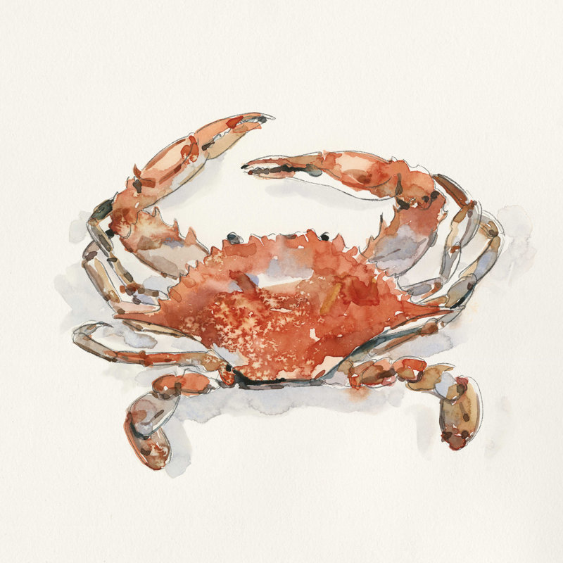 Crabe croustillant II, H 12 po x l 12 po