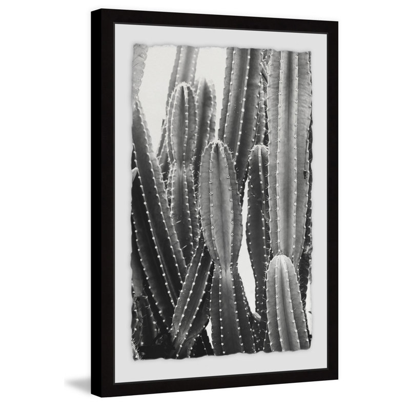 Vintage Cactus - Single Picture Frame Print, 91cm H x 61cm W x 4cm D