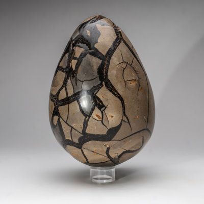 Septarian Druzy Egg