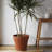 Rolled Rim Resin Indoor/Outdoor Planter Pot-105867781-105867780
