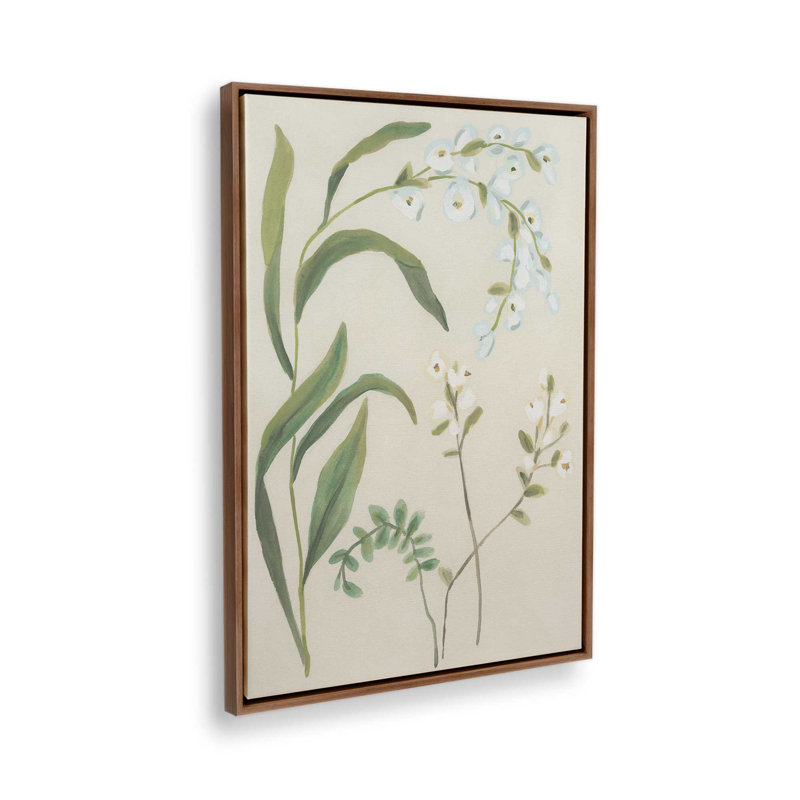 «Snowdrop Stems I» par June Erica Vess, reproduction d'art, H 32 po x l 24 po, Brun