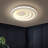 Kupang 19.7" Modern Acrylic Ceiling Light (Warm Light Without Remote Control)