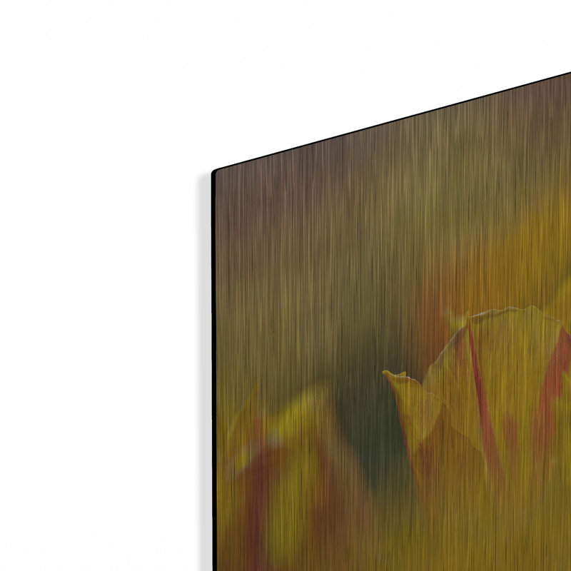 «Aurora Tulips» par Cora Niele, H 12 po x l 24 po