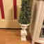 Photos des clients 1 de 1