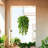 Eucalyptus Arrangement in Basket