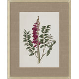 Floral Study In Plum 1 Print
