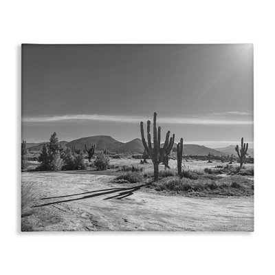 Sunlit Cactus Valley Canvas, design by Norm Stelfox