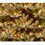 7.5' Prelit Norway Fir Artificial Christmas Tree with Clear Lights
