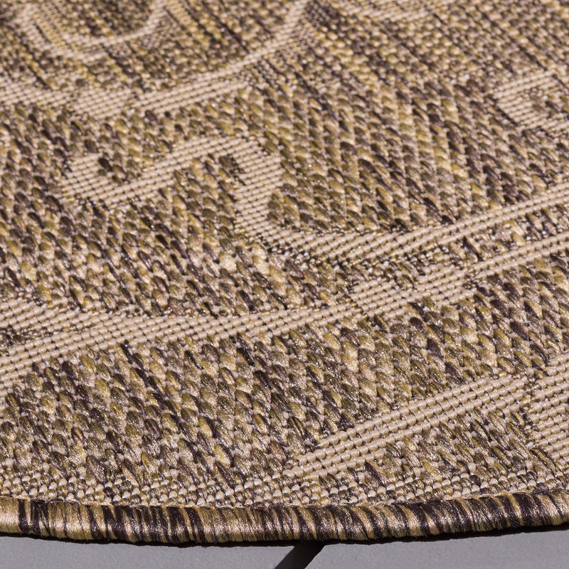 Tapis d'intérieur / extérieur Darryl-James, Rectangle 6 pi 7 po x 9 pi 6 po