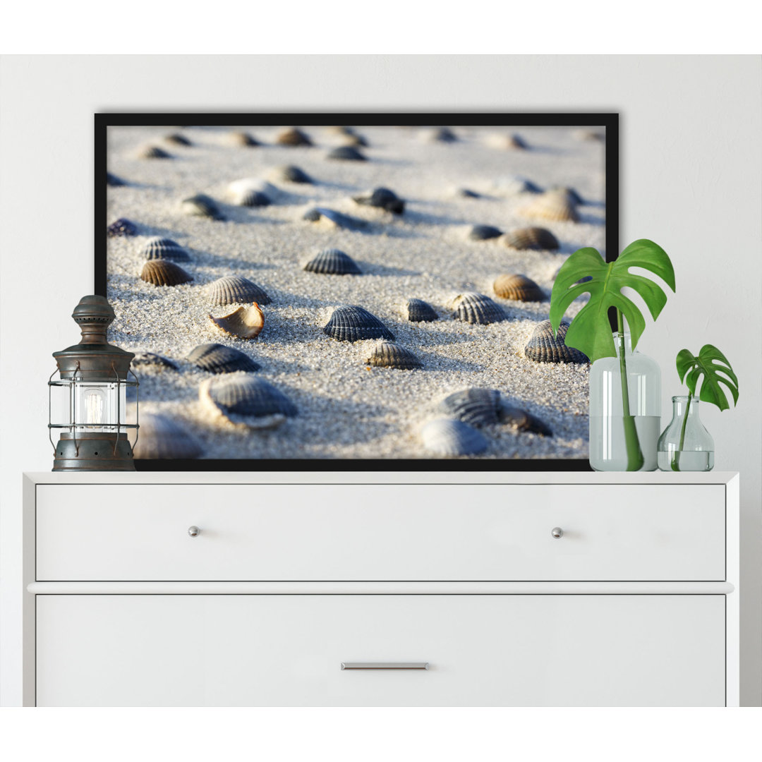 Muscheln Im Sand - Poster Im Rahmen (y10090)