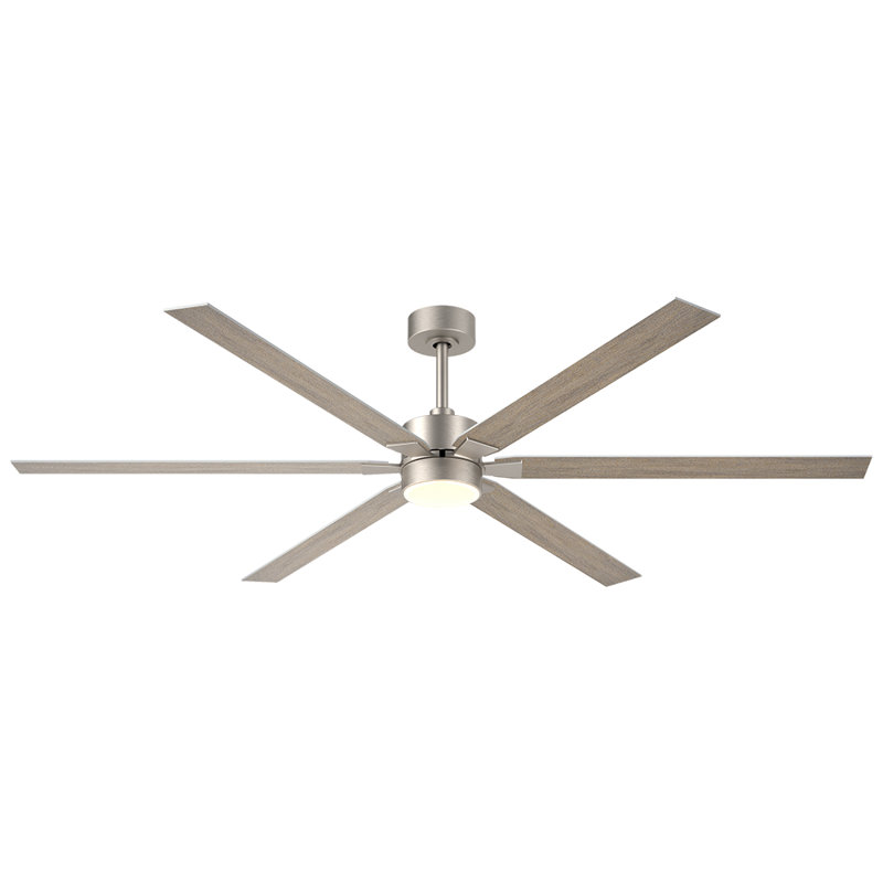 Tolmina Ceiling Fans with Lights, 66" Low Profile Indoor Ceiling Fan with Light and Remote Control, Dimmable, Noiseless, Reversible, Black Ceiling Fan for Bedroom, Indoor Use