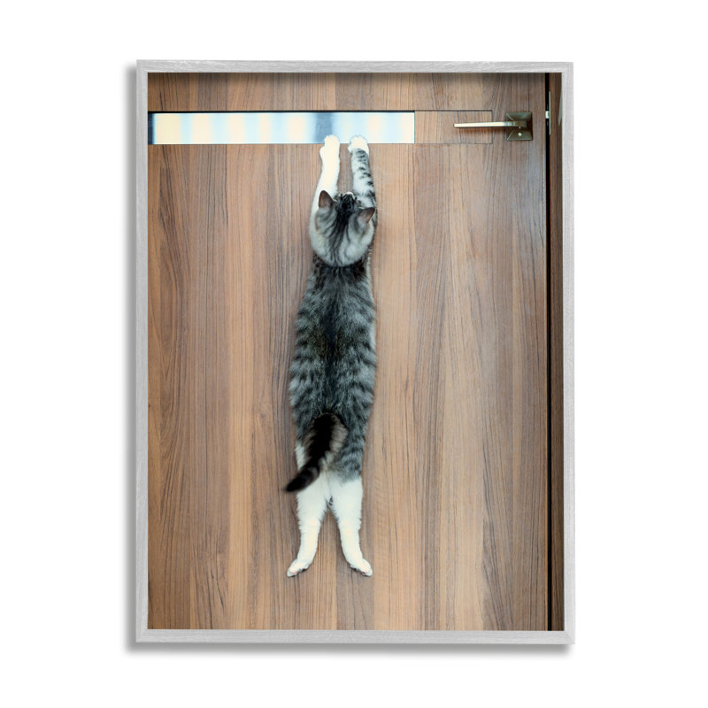 «Ba-361», encadré «Desperate Cat Escaping» encadré sur bois par Kazutoshi Ono, Estampe numérique Farmhouse