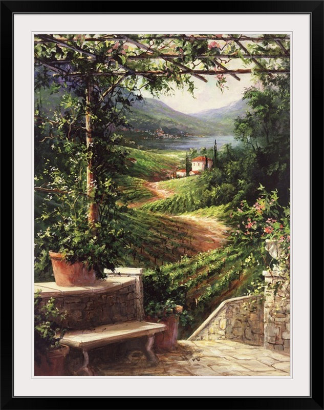 «Zack Chianti Vineyard 'Art Fronckowiak, reproduction d'art, l 44 po x P 35 po x H 1 po, Cadre noir