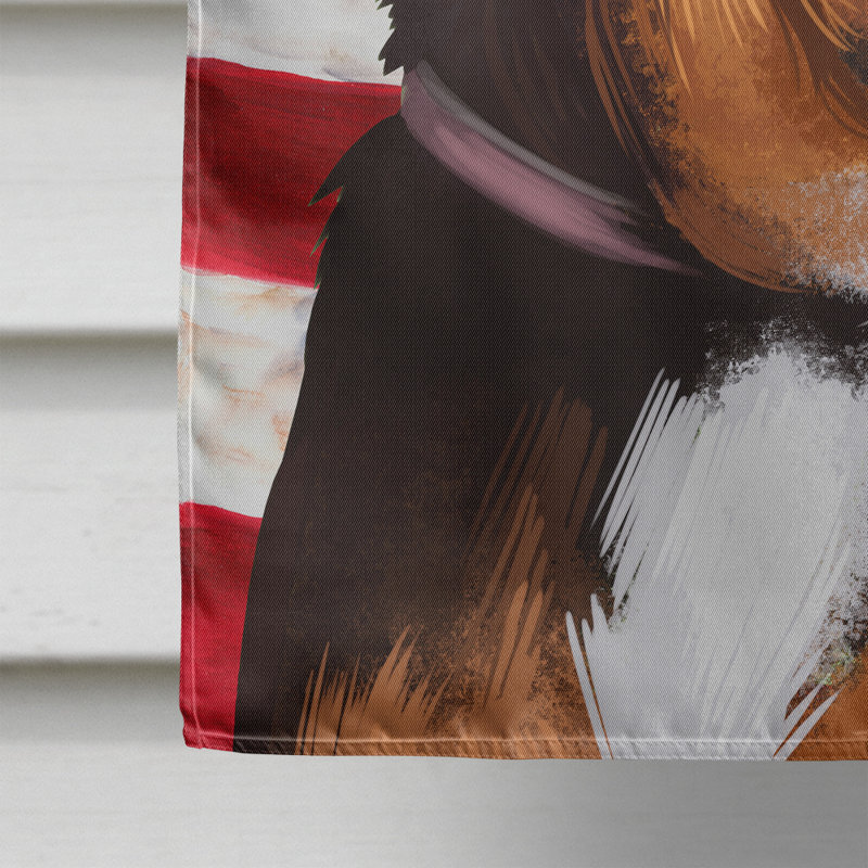 Polyester à 2 côtés 28 x 40 po drapeau maison, Brachet autrichien noir et feu