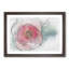 A Pink Hibiscus Flower in Abstract - Framed Print-55629291-55629295