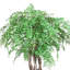 Arbre à feuilles de myrique en pot en fibre de pierre