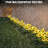 Yellow Stainless Steel Solar Powered Integrated LED Pathway Light