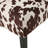 DINING CHAIR MP2  Set Of 2