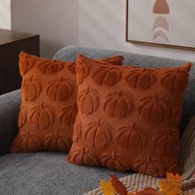 Pillow Cover