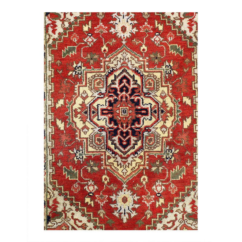 Oriental Area Rug in Rust