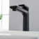 Tender Vessel Sink Faucet Single-handle Bathroom Faucet with Drain Assembly